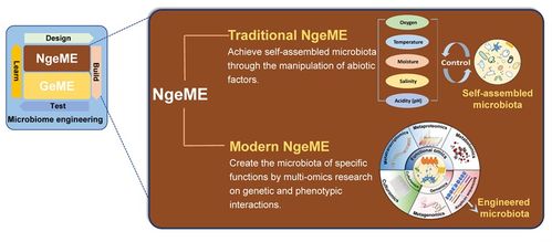 徐巖教授團(tuán)隊在食品科學(xué)與安全領(lǐng)域取得突破性研究進(jìn)展
