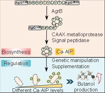 權威認定！大工校友企業(yè)榮膺工信部首批“卓越級智能工廠”及“實數(shù)融合典型案例”雙項榮譽